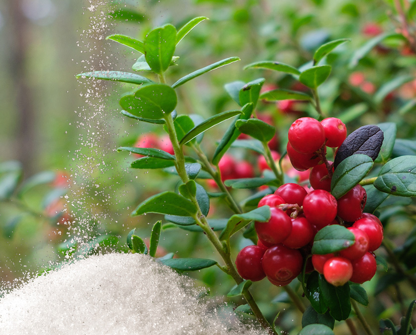 D-Mannose & Cranberry